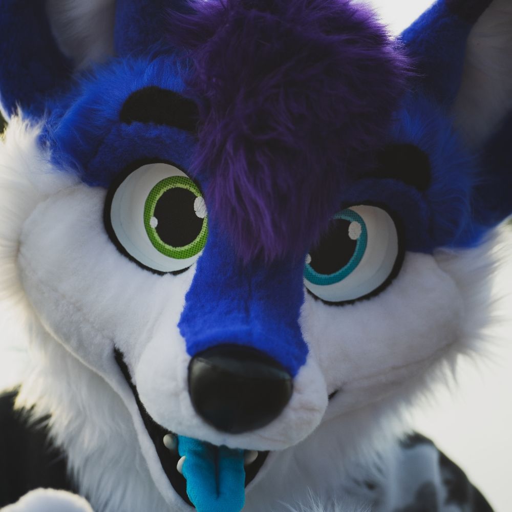 Blueberry Boi