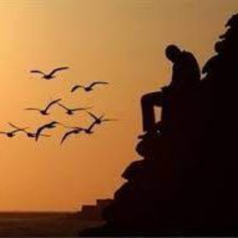 C&メMüNZeVi 🕊️🕊️