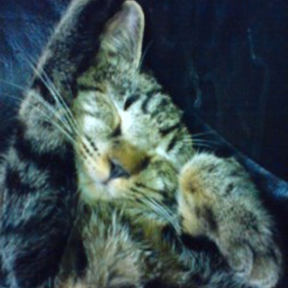 thomas_