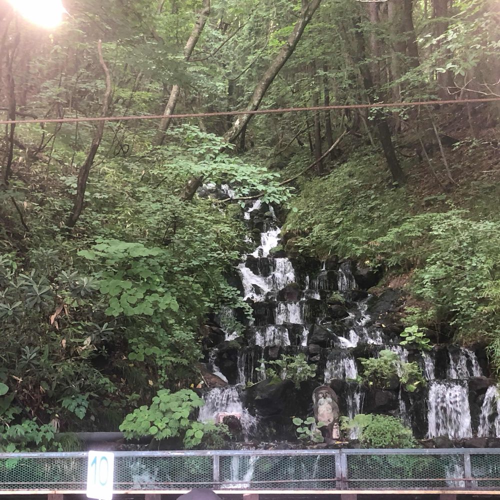 シャチ8
