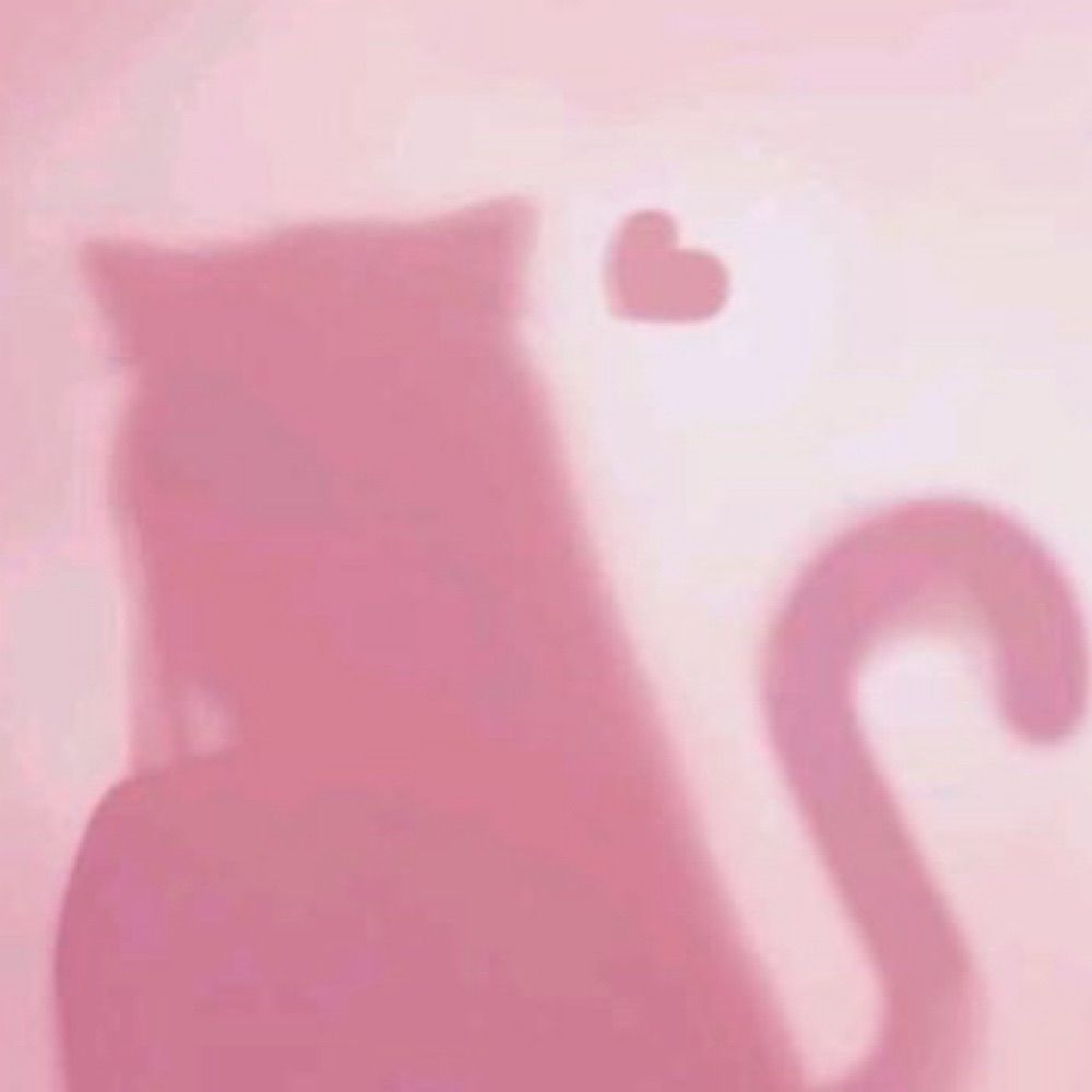 kitty ⊹