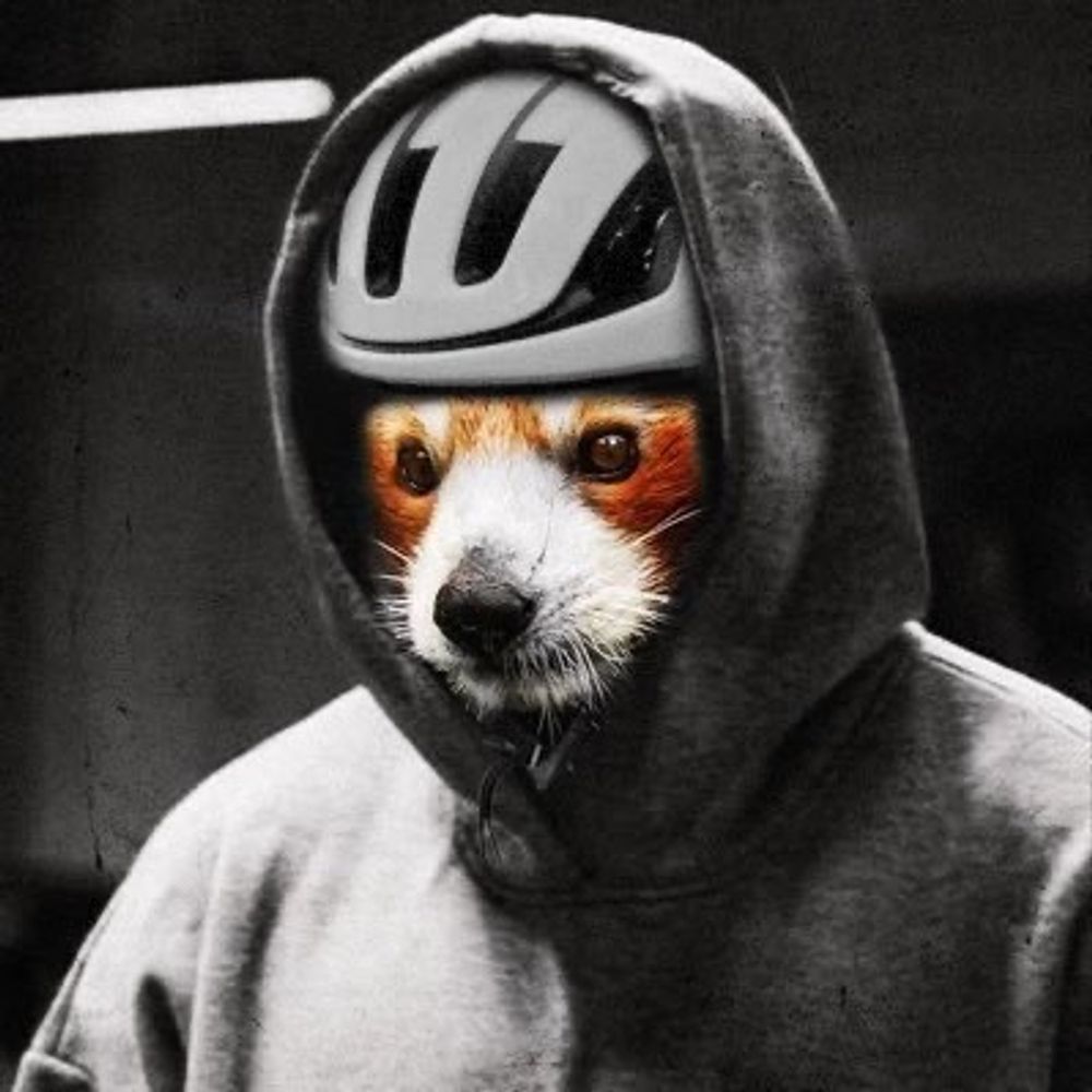 Profile avatar