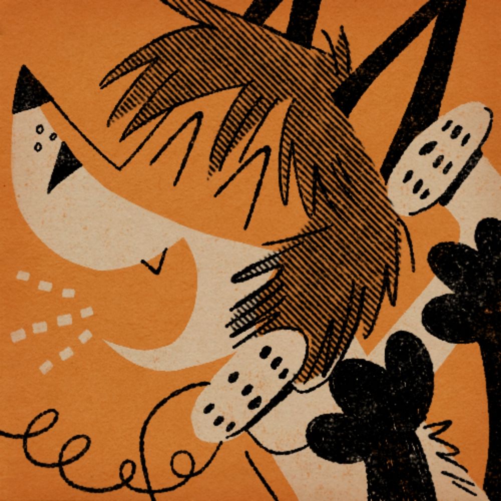Rechner Fox