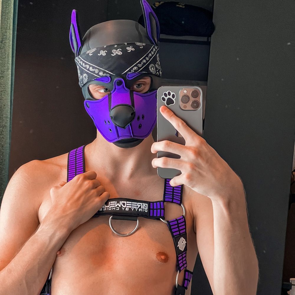 🏳️‍🌈Pollux🐾