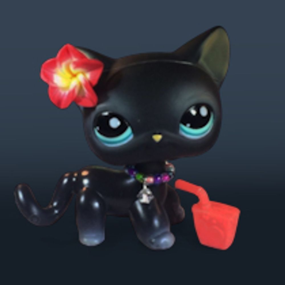 Sogi