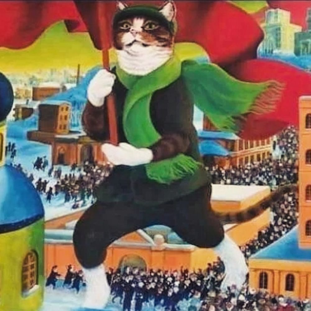 RedStreetCat