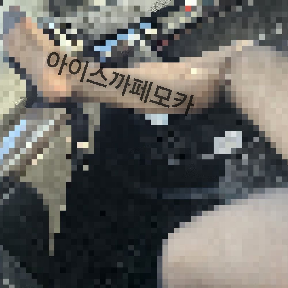아까모ㅂㅂ