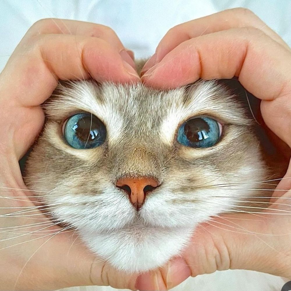 Min