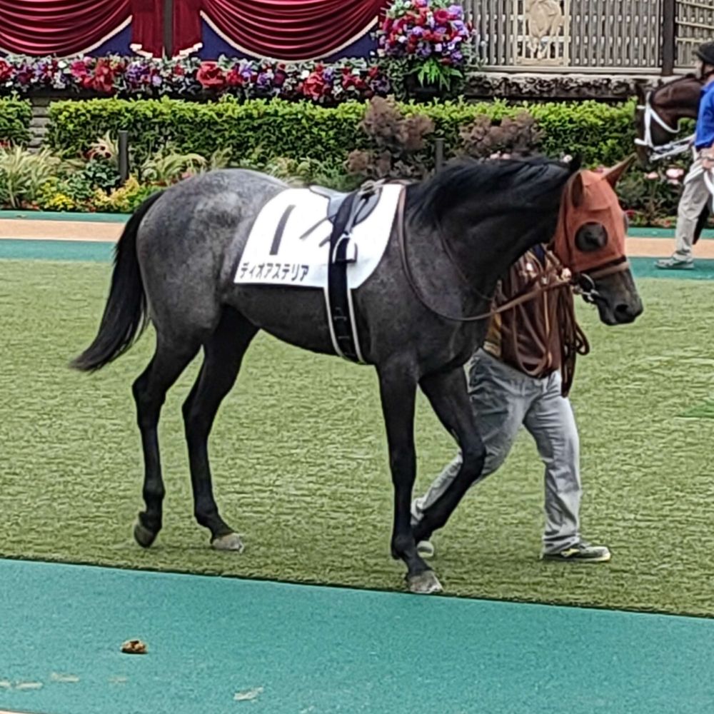 あおひょうたん🏇
