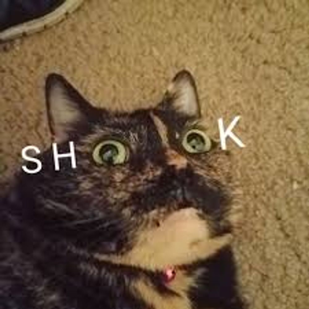 PAFL