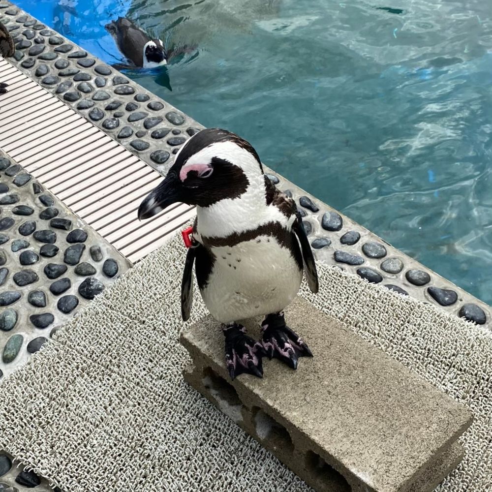 さちこぉ