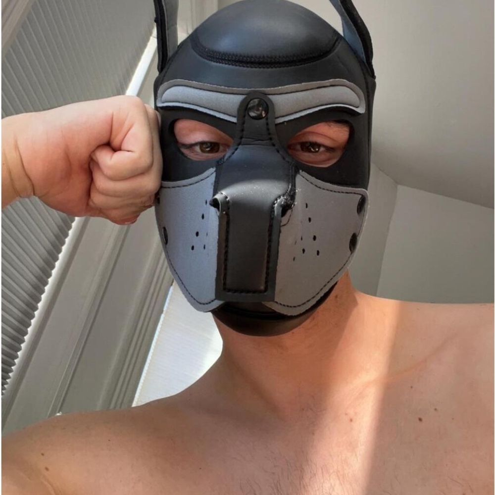 Brew City Pup 