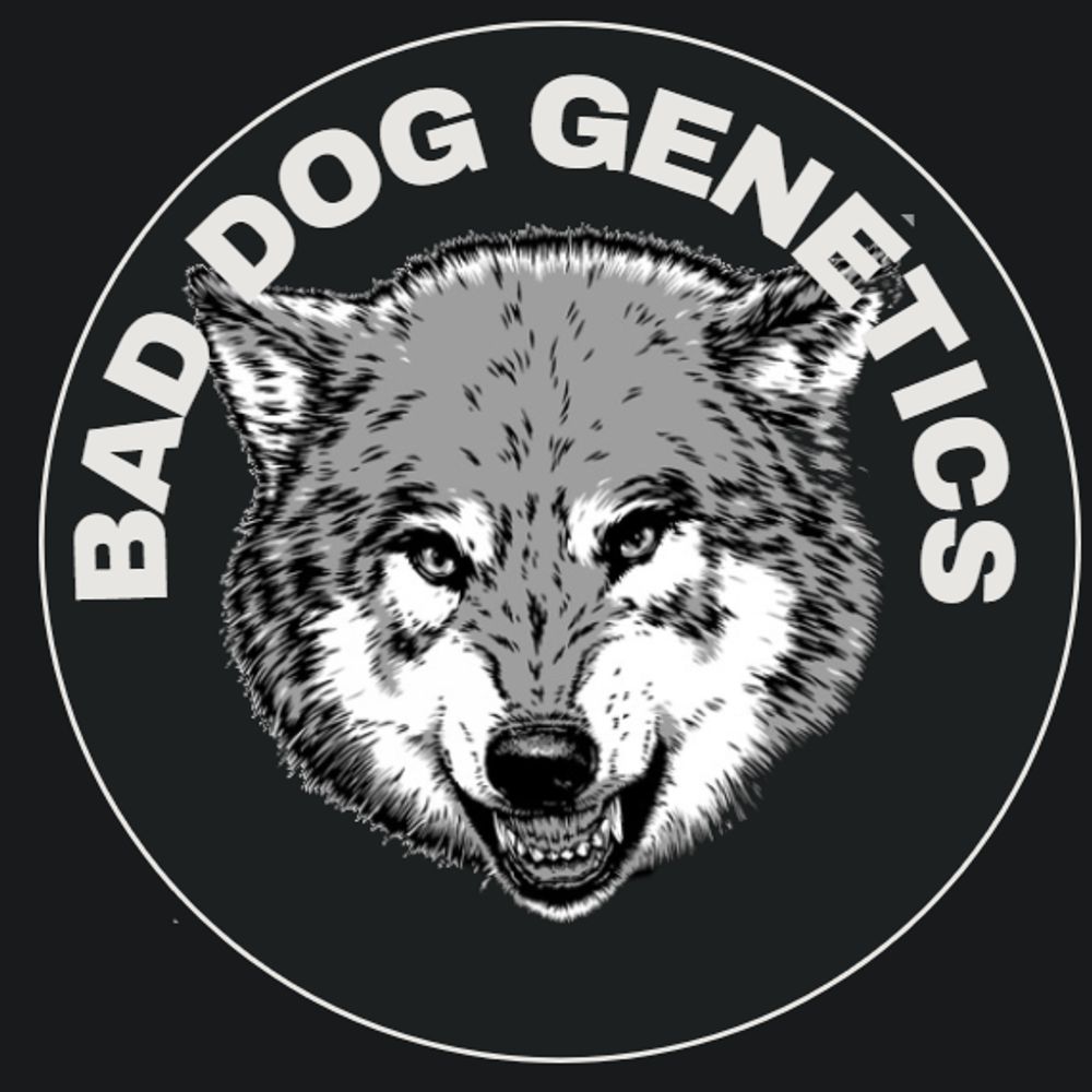 Bad Dog Genetics