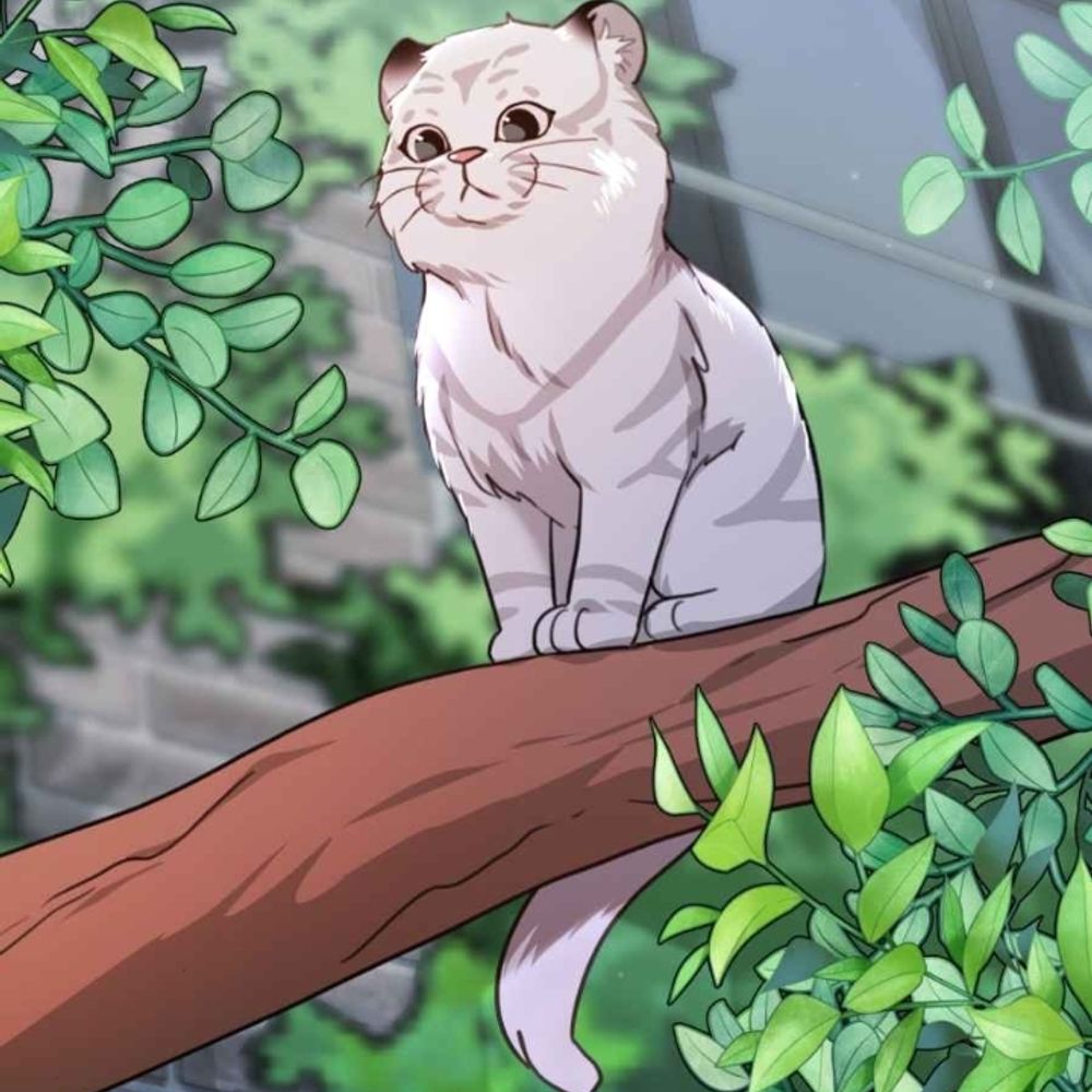 Moonᥬ🦉᭄Owl