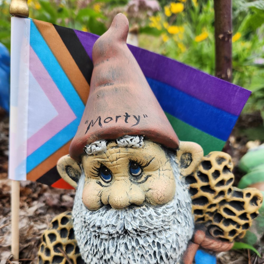antifagnome.bsky.social profile picture