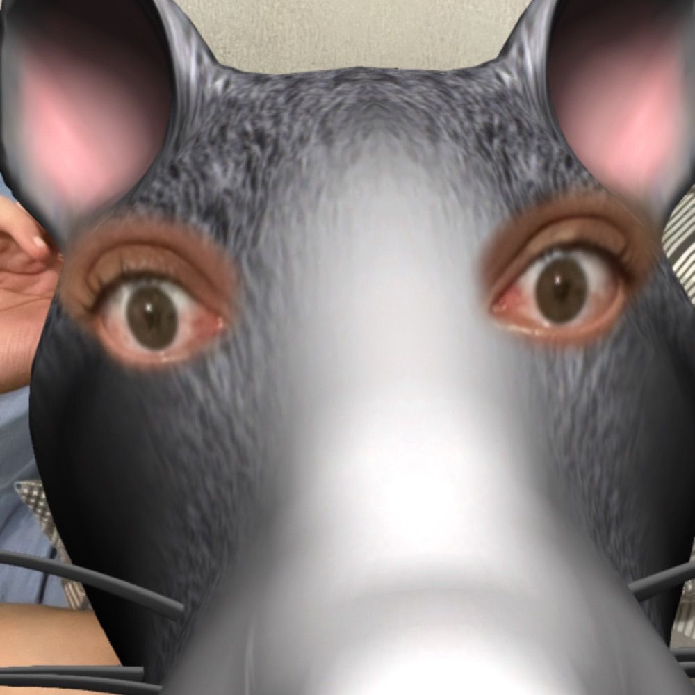 riscafaca 