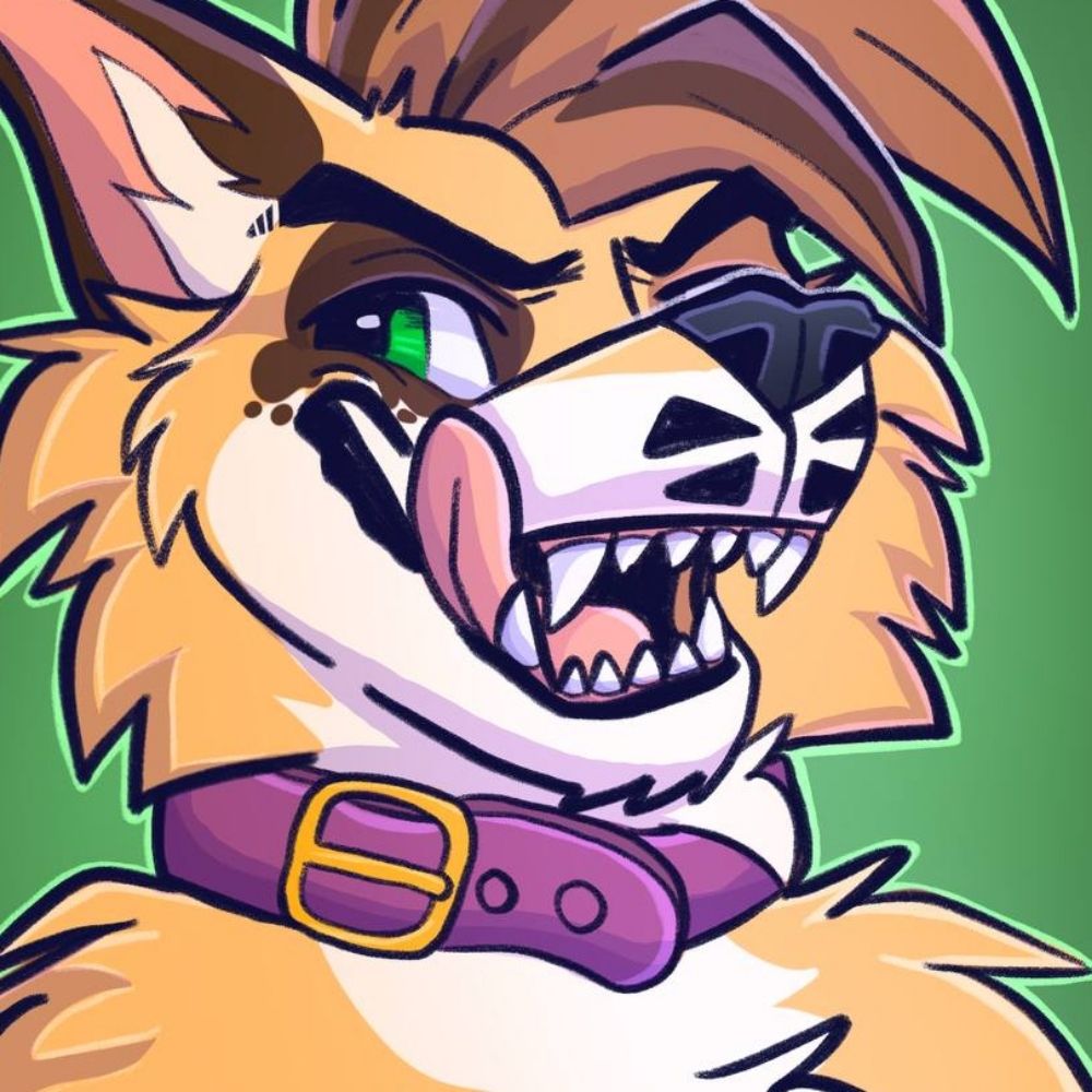 Benji (dorg)