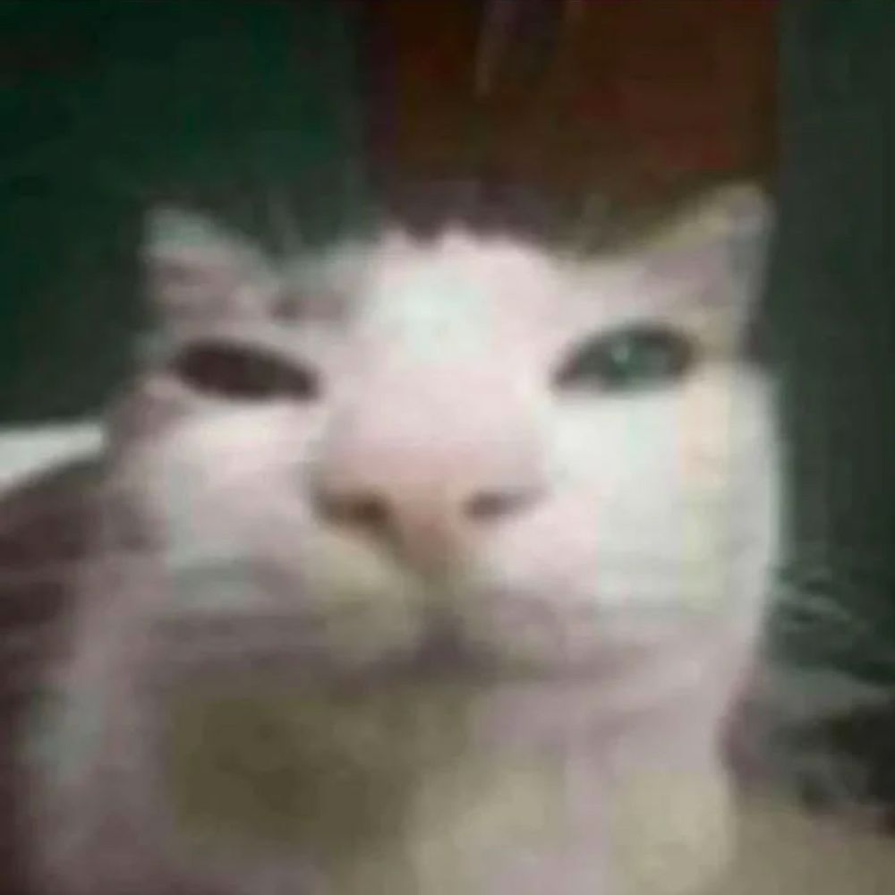 으아으
