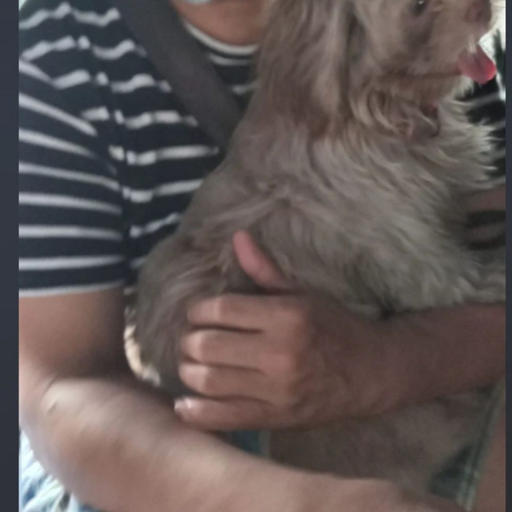 lou