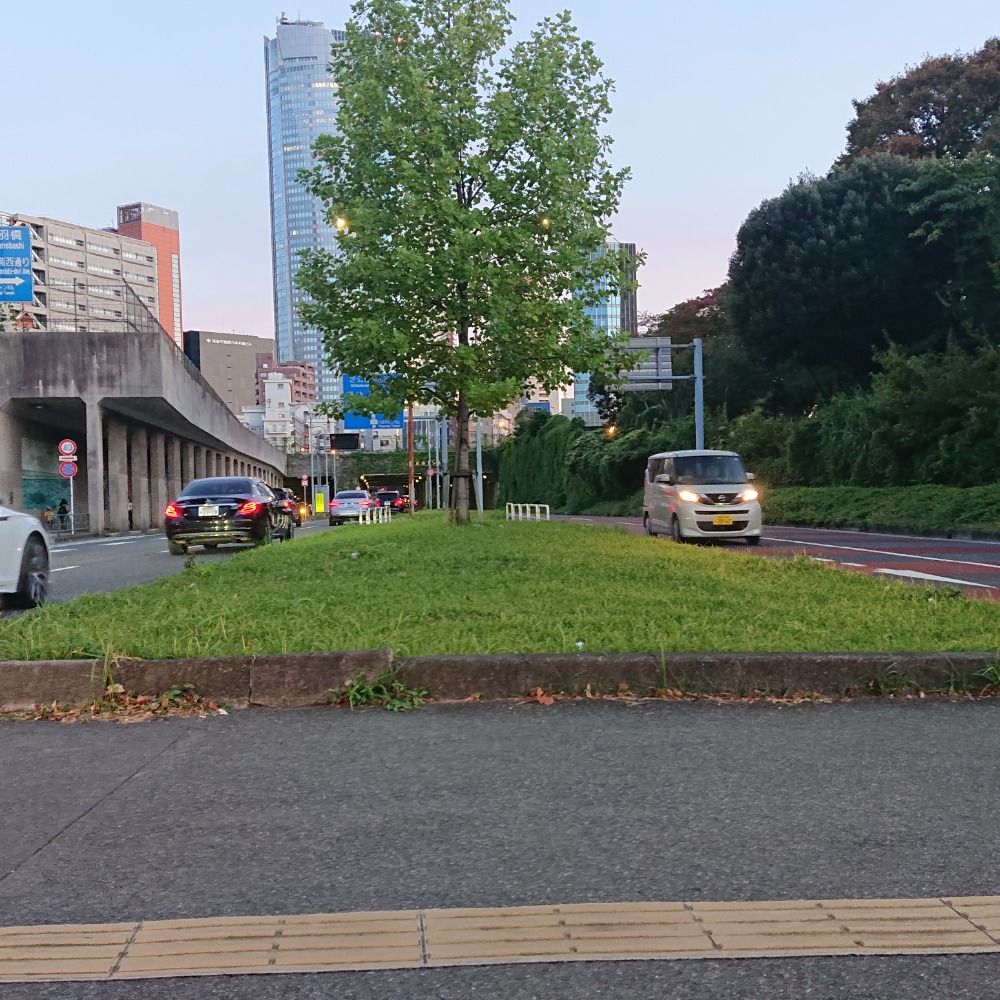 ひめさきおうは