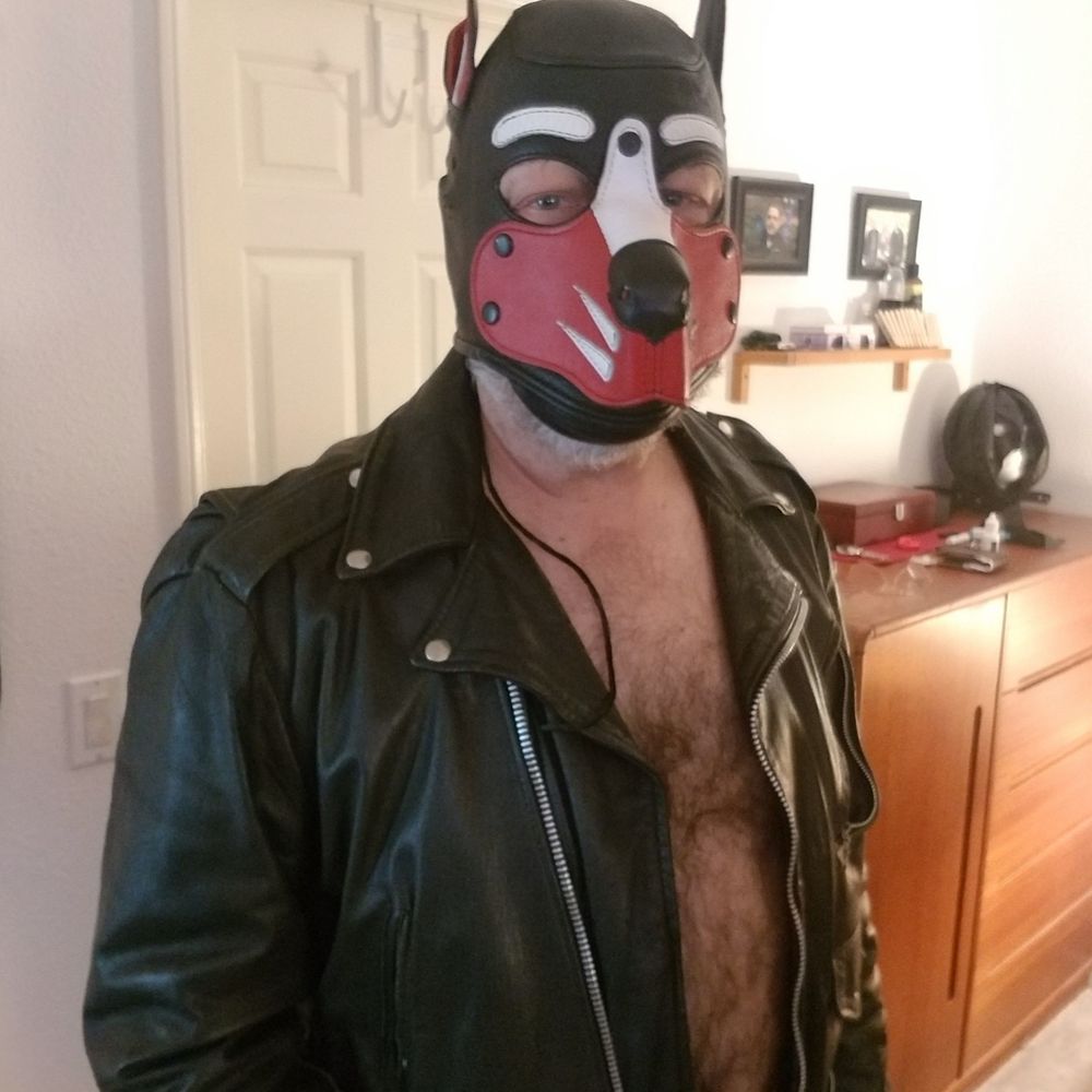 Pup Grau