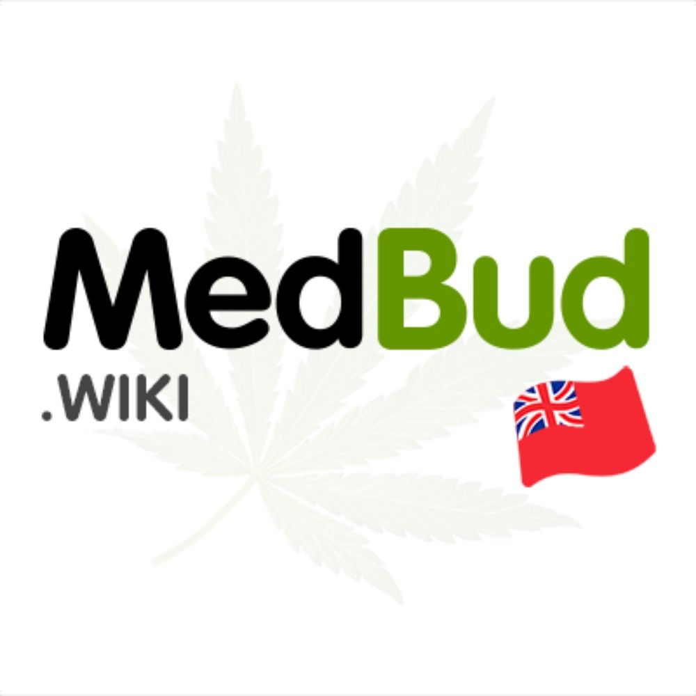 Medbud (Twitter Bot)