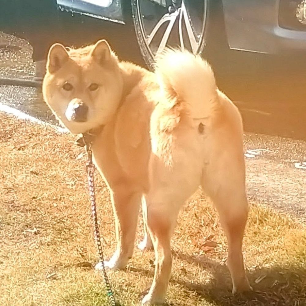 奥戸えむ