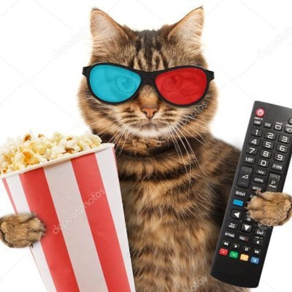 Le Chat Pitre