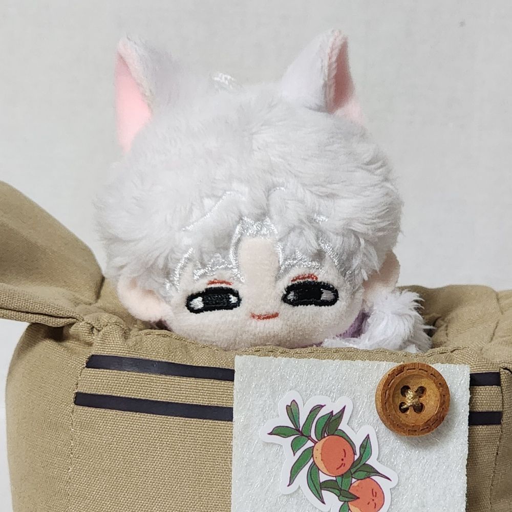 겨우살이