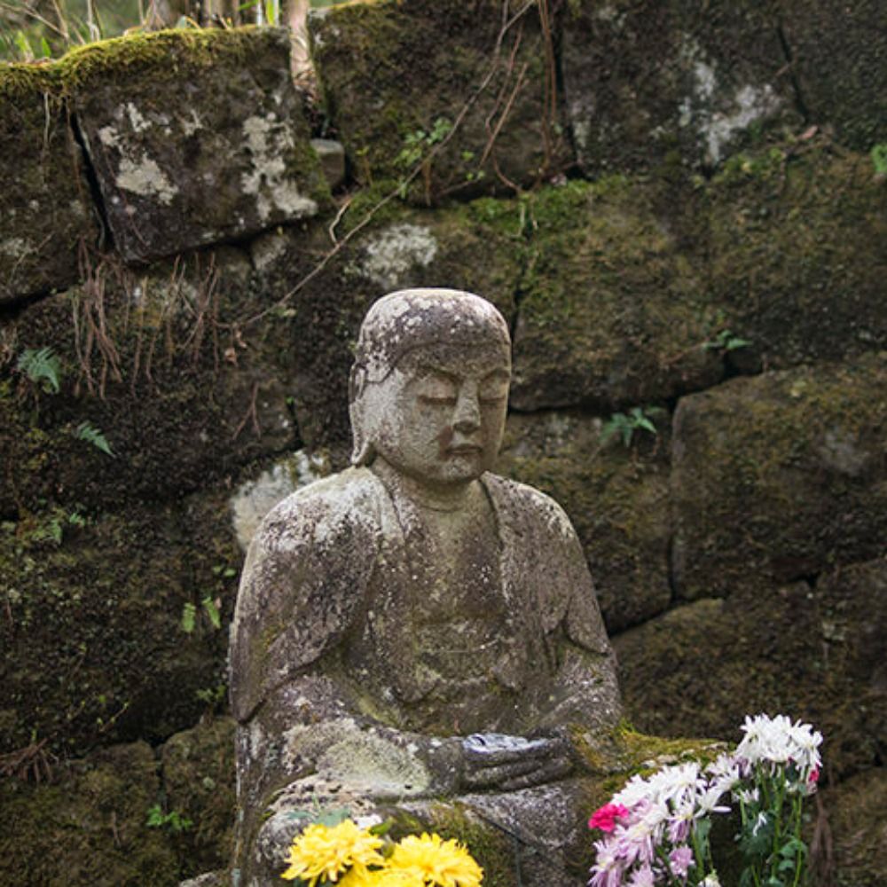 脳みそがすっごい天国で赤い楽師