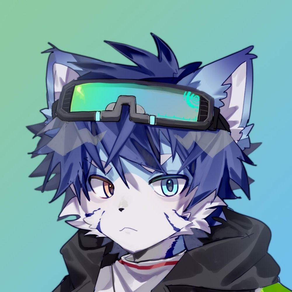 灵猫