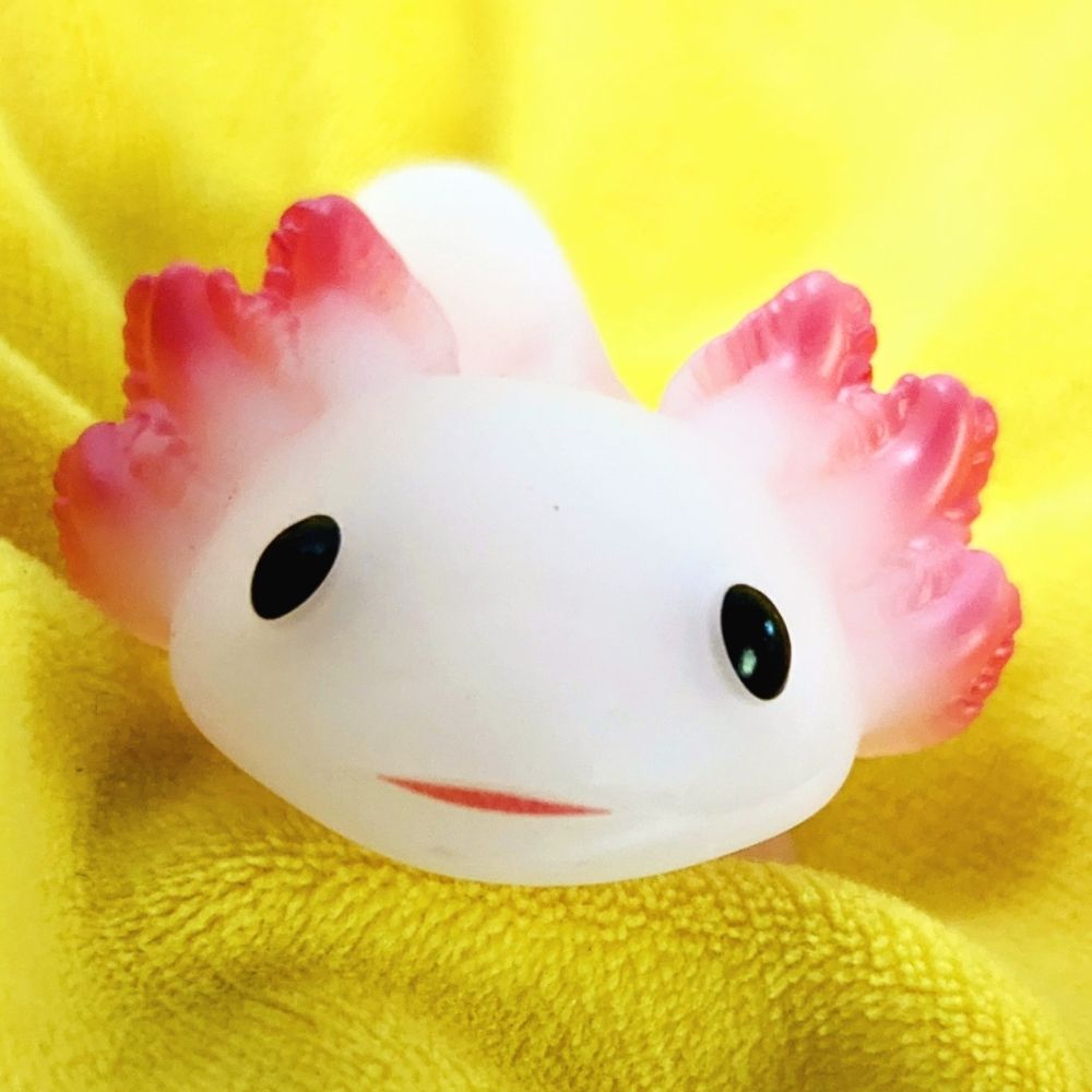 ぱつぱつ