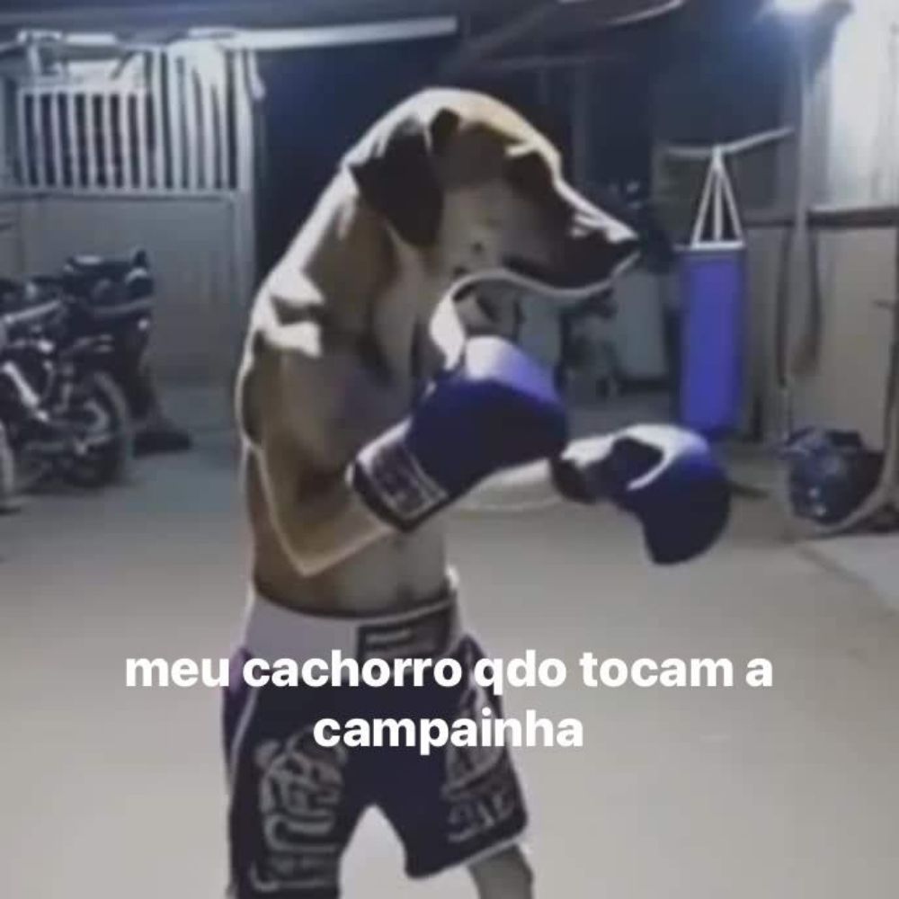MetafoRafa 