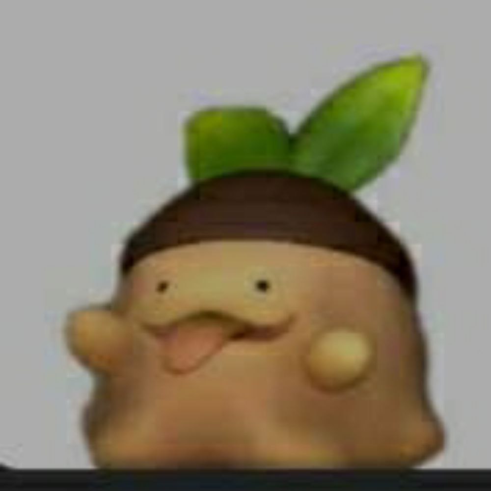 Rat
