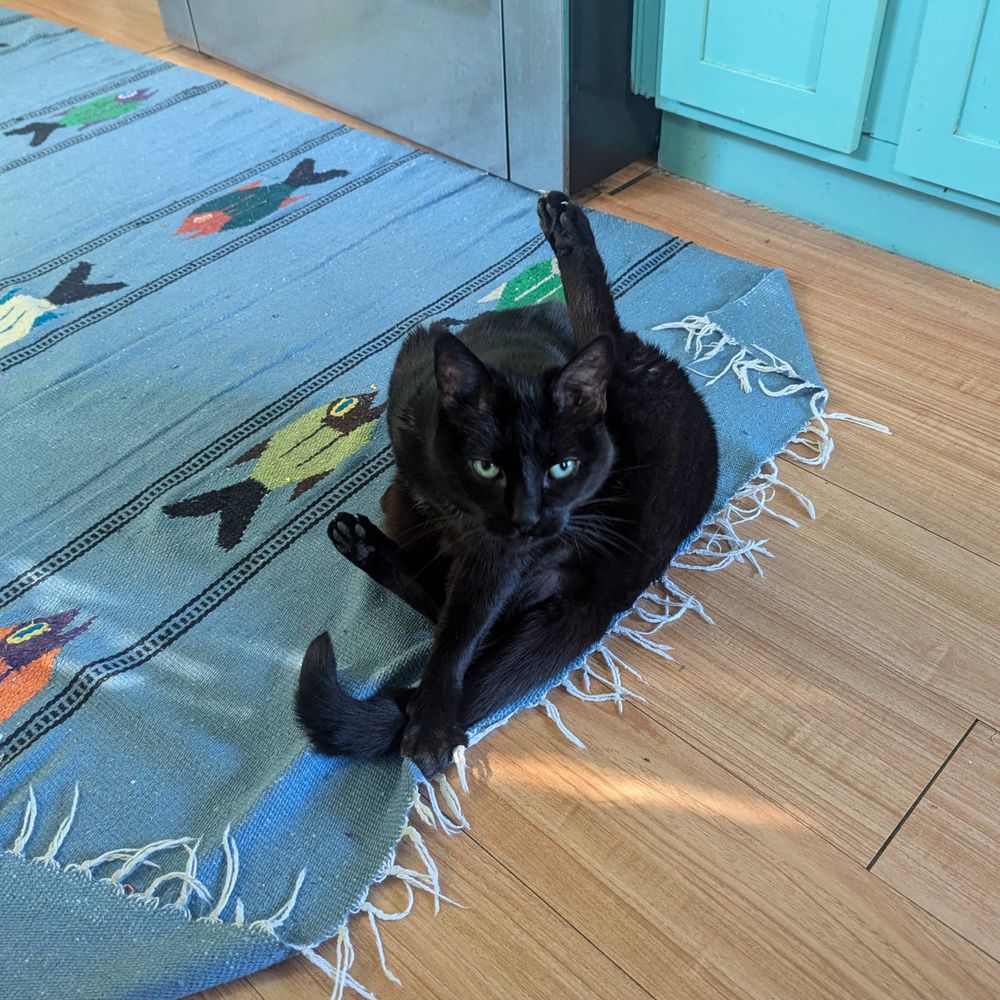 Olive Hatchy