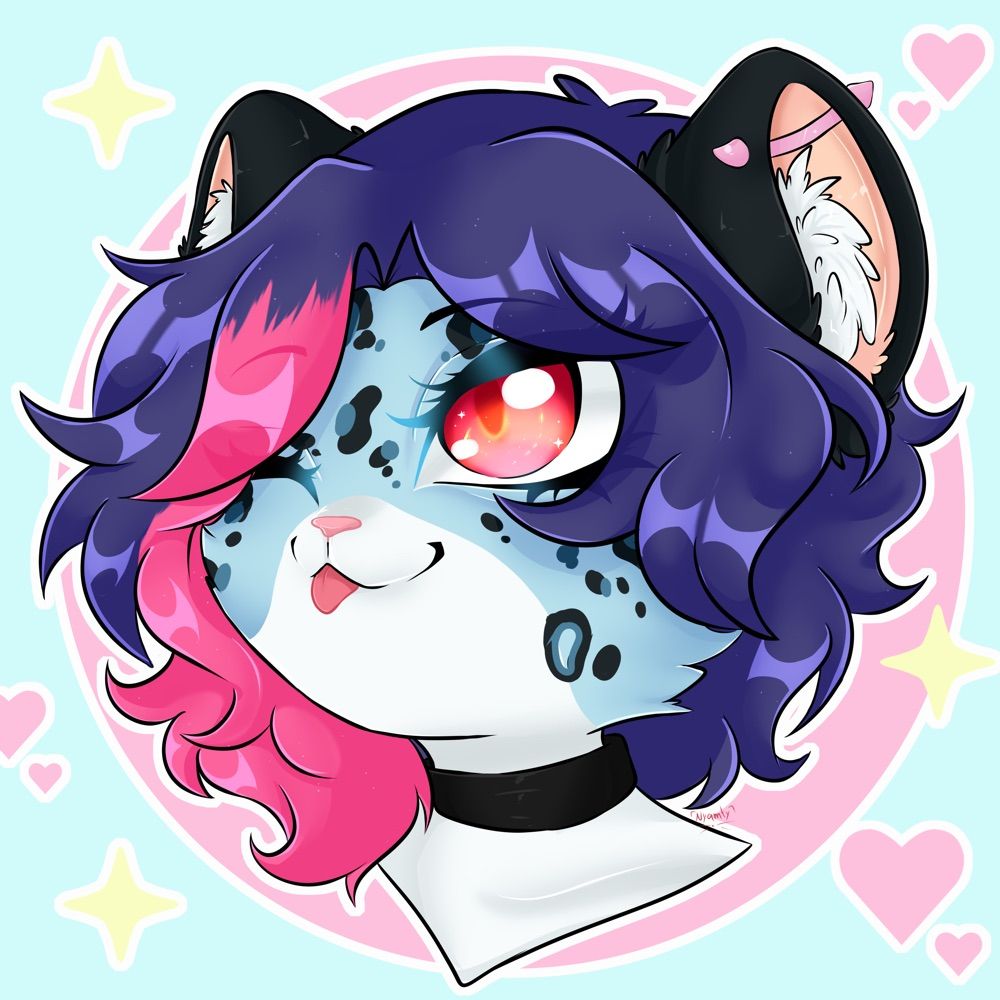 Vladimir Snow Leopard