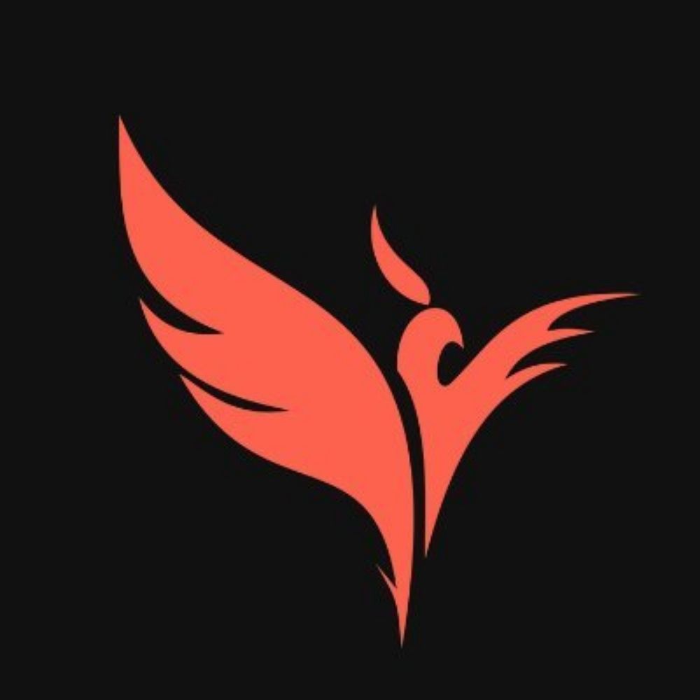 Team Phoenix 🍉