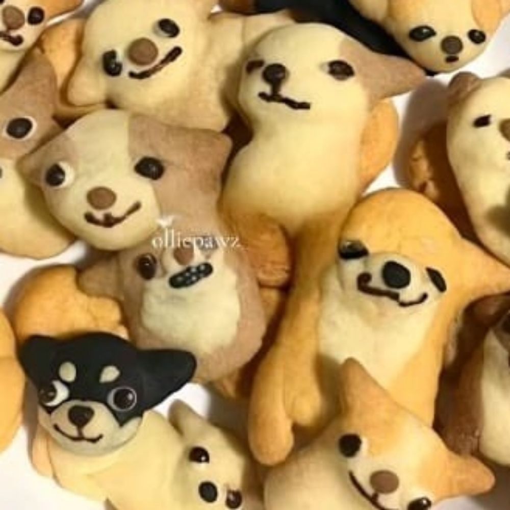 위와와