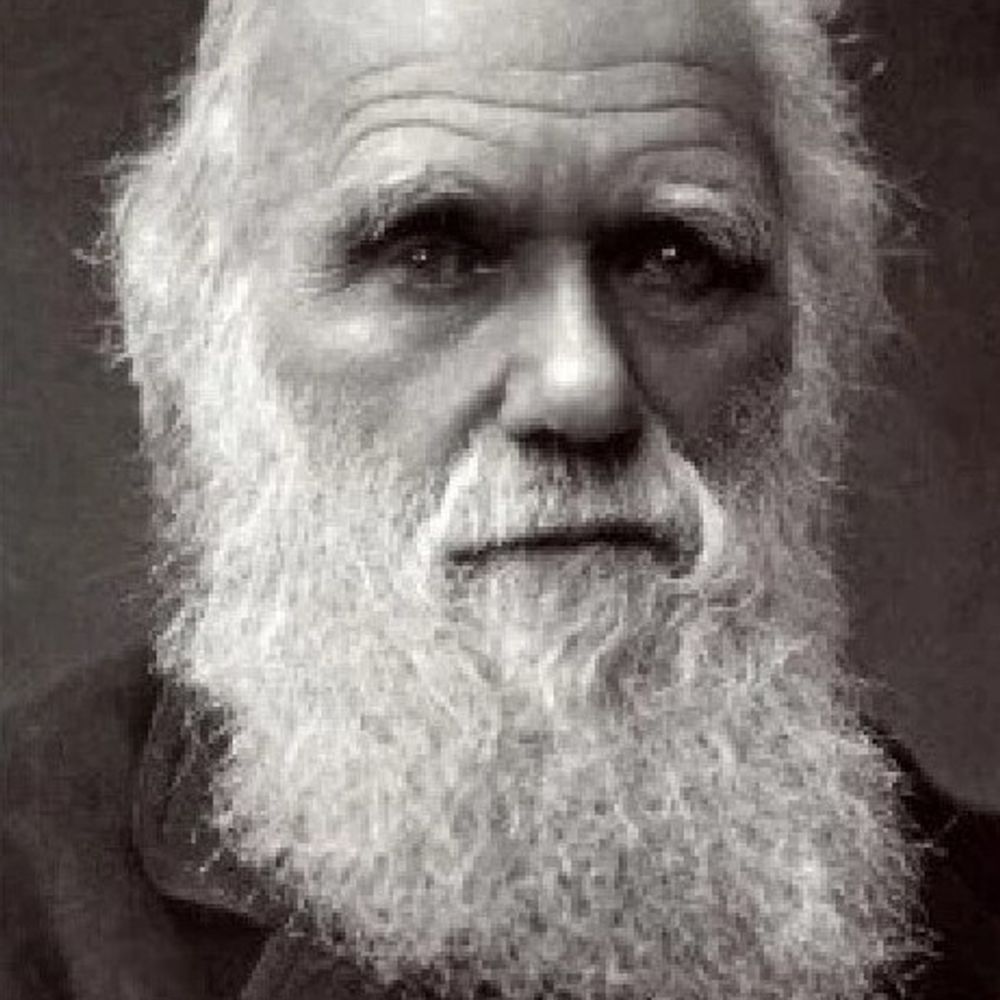 Mark Bixby