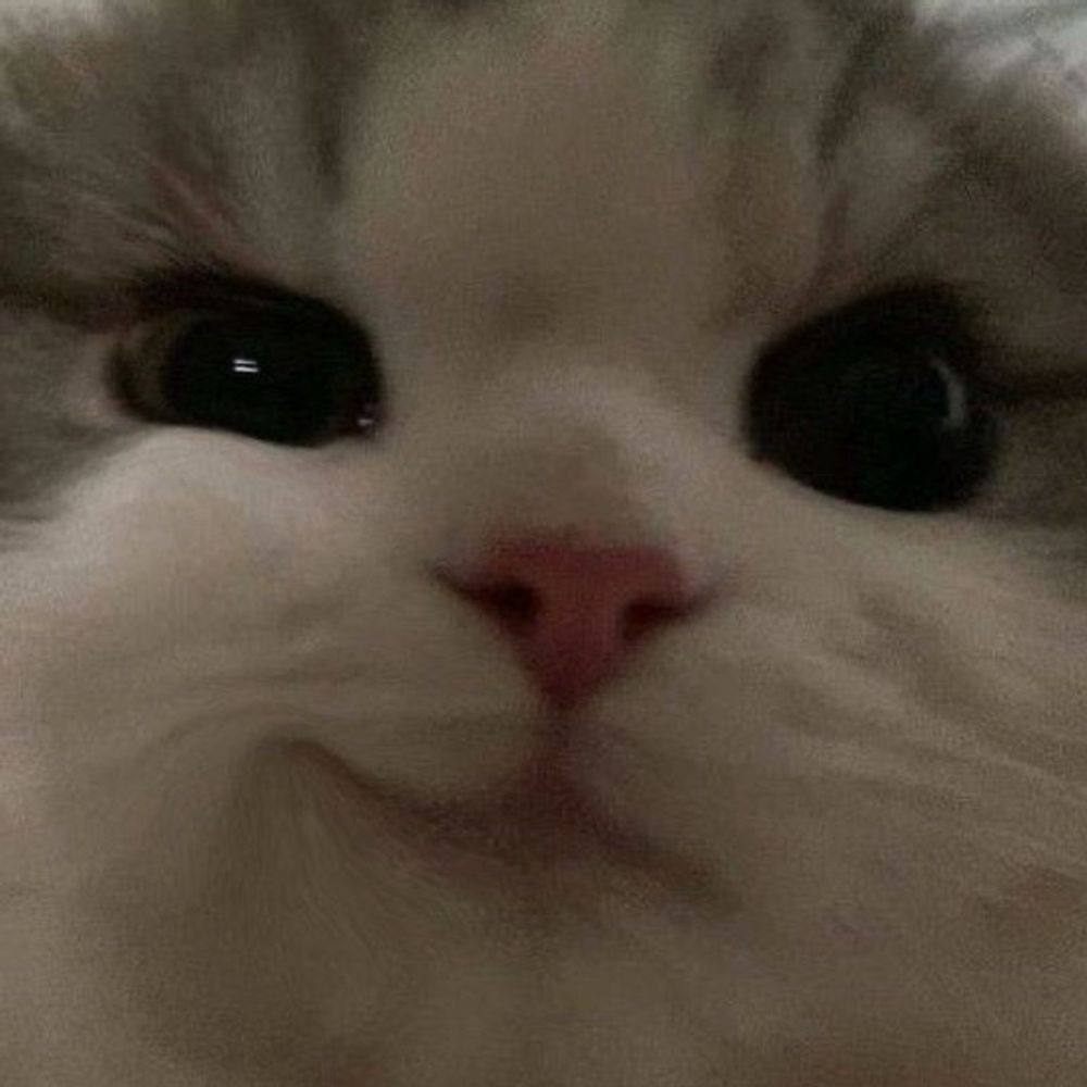 mmm