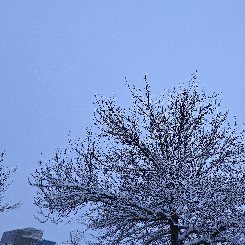 Sky of the Universe