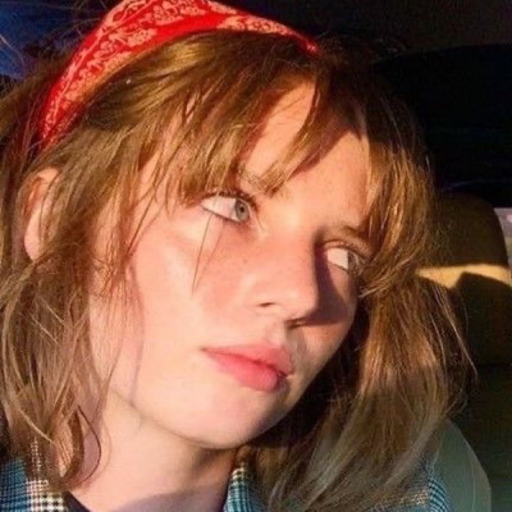 lis 