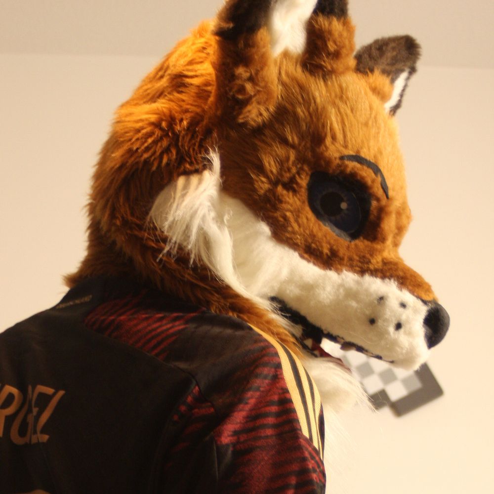 Football Foxy