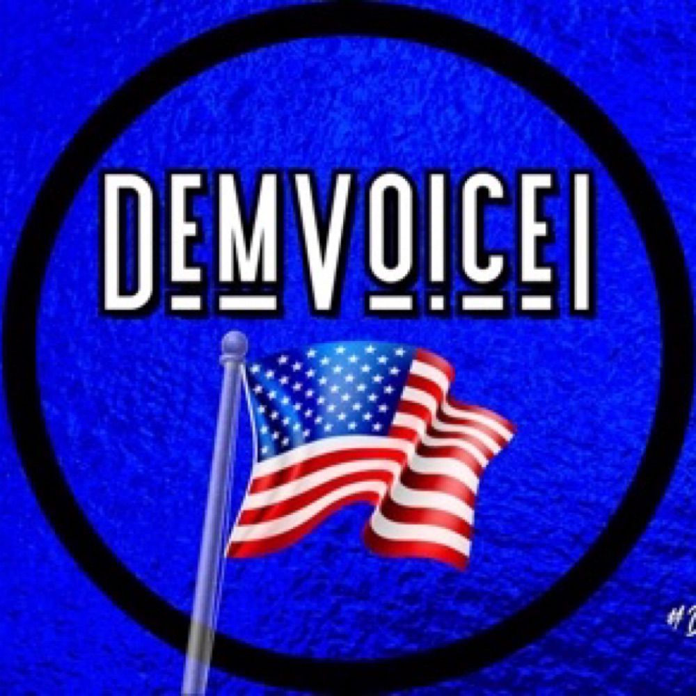 Profile picture demvoice1.bsky.social