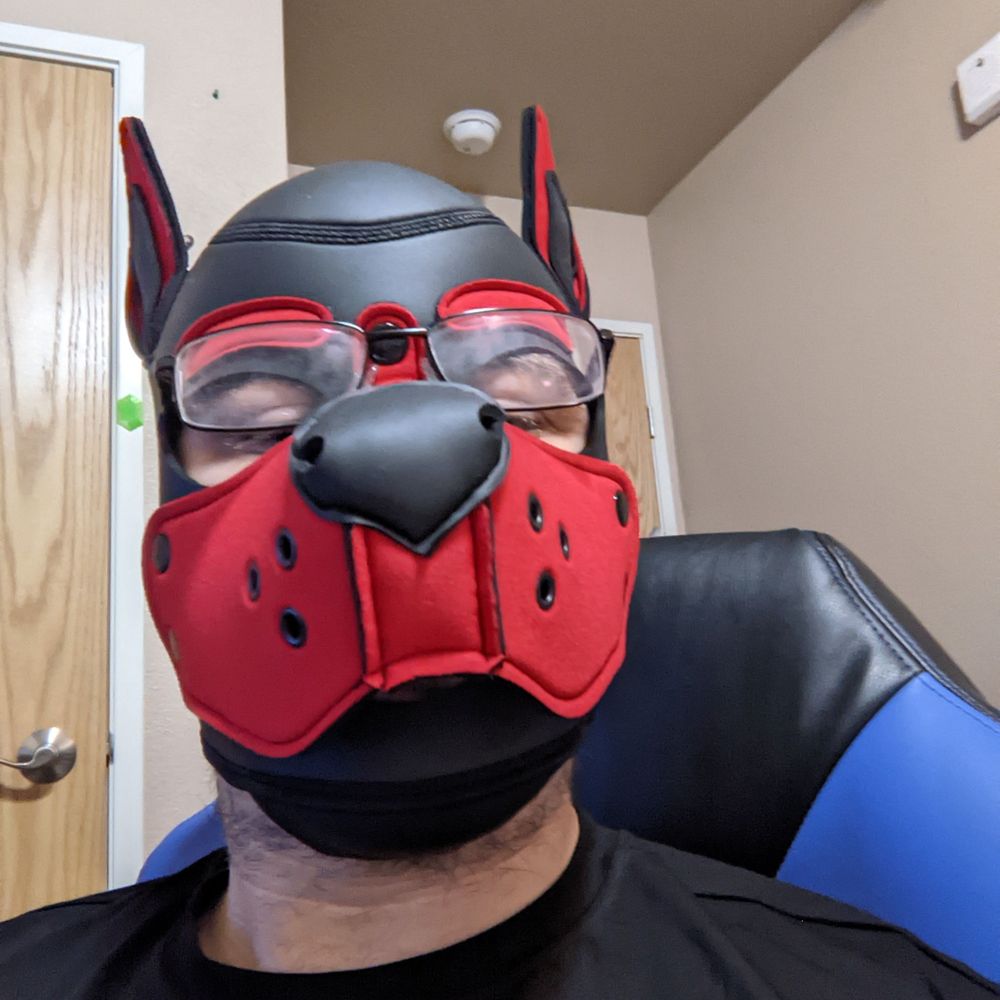 Pup Coco