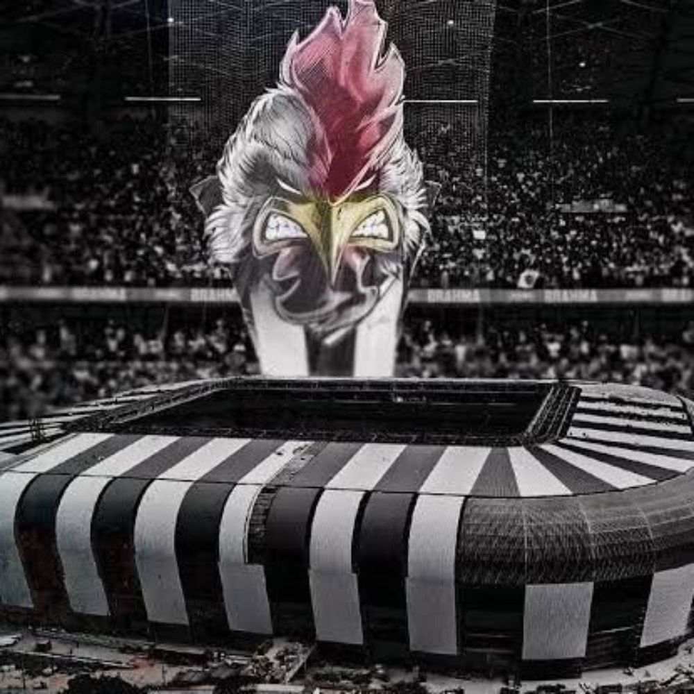 Lê coq Mineiro