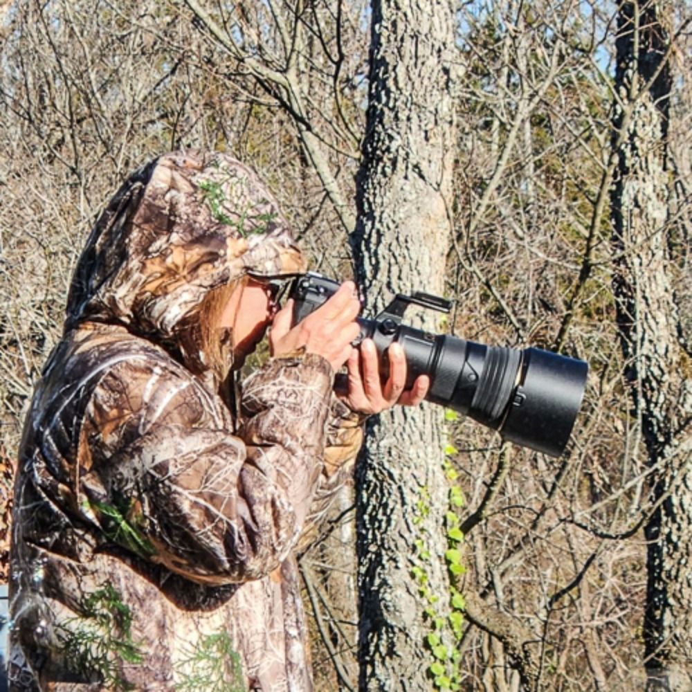 Cove Creek Photography