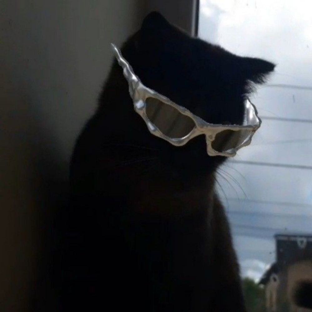 purrfectpedaler