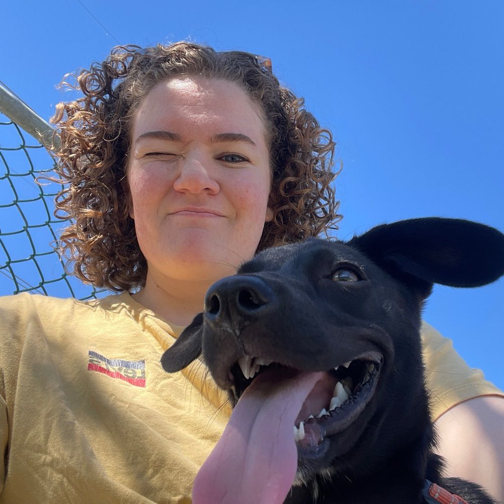 adhdogs.bsky.social profile picture