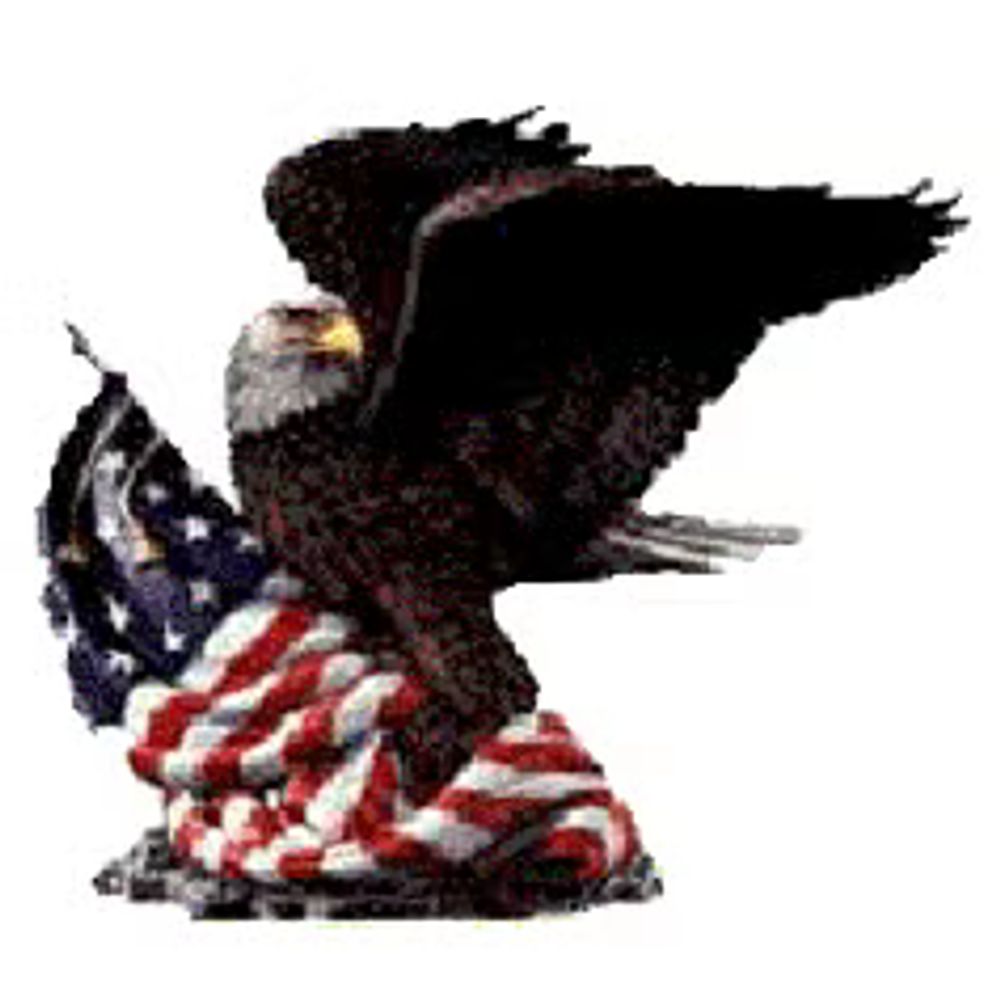 American Diplomacy Journal 